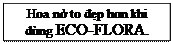 Text Box: Hoa nở to đẹp hơn khi dùng ECO-FLORA.													ECO-FLORA.													