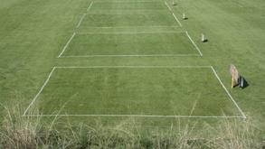 ECO-FLORA Cỏ và hoa